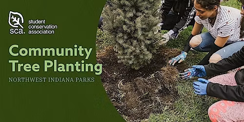 Volunteer Tree Planting