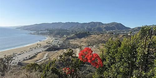 From Ruin to Resilience: Grief, Focus, and the Future We Choose