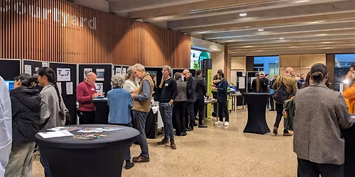 Developing a circular economy for Kingston