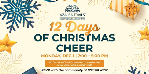  12 Days of Christmas Cheer