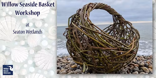 Willow Seaside basket Workshop