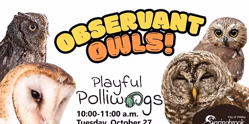 Playful Polliwogs: Observant Owls