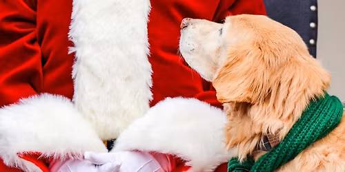 Daytime Dog Visits with Santa