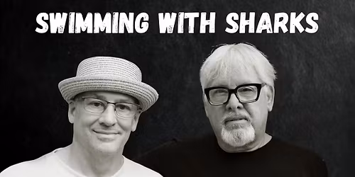 Swimming With Sharks at Casita Brewing Co.