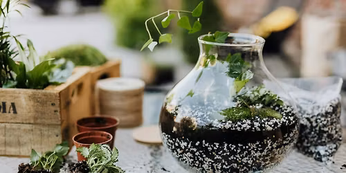 Terrarium Building Workshop in Asheville