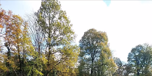 Family Friendly Walk: Halloween Walk