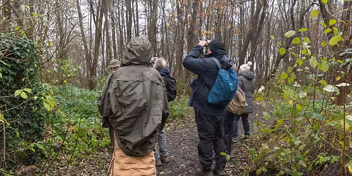 Moeraske : Visite guid\u00e9e - Les oiseaux en hiver 