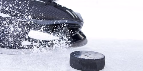 Penn State Nittany Lions at Michigan State Spartans Mens Hockey at Munn Ice Arena