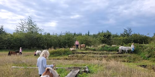 B\u00f8rne\/junior camp i S\u00f8nderjyllands Horse Park 3.-5. august 2026