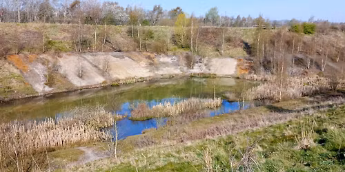 Wildlife and Monitoring Walk at Whitfield Valley Nature Reserve