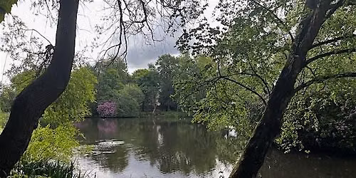 Volunteering at Clowes Park