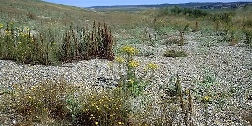 Circuit of Cley (11 December)