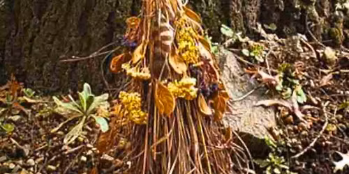 The Curious Cauldron \u2013 School of Witchcraft and Wizardry