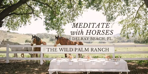 Meditate with Horses \ud83d\udc34