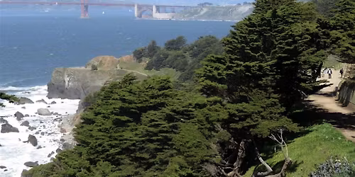 Integral Psychedelic Community Hike - SF