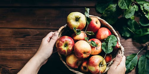 Class: All Things Apple