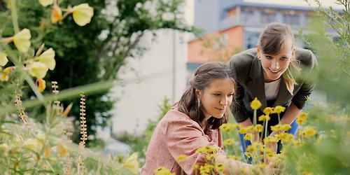 Kr\u00e4uterf\u00fchrung im Museumsgarten