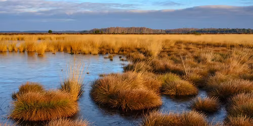 World Press Photo - Naturfotografie-Workshop mit Willi Rolfes: "Mythos Moor"