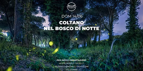 Coltano: nel bosco di notte