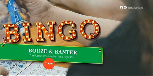 Bingo Nights