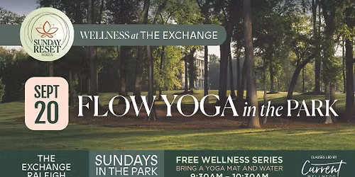 Flow Yoga - Sunday Reset Series