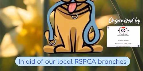 Charity Group Dog Walk