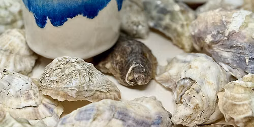 Oysters & Objects