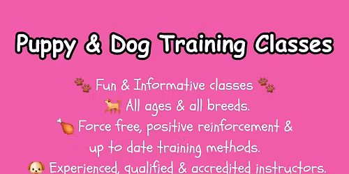 Puppy & Dog training classes