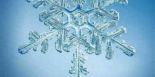 Lithia Christmas Party