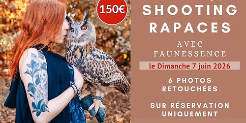 Shooting avec les rapaces par Laura Mottin Photographie chez Faunessence