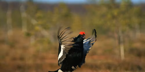 Lek's talk about sex