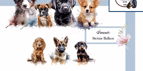 Valpeshow for ALLE raser.