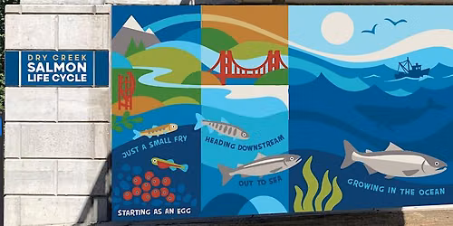 Salmon Mural Painting (Volunteer Opportunity)