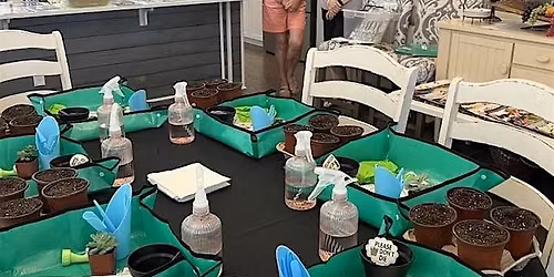 Plant Propagation 101 w\/ Life\u2019s a Garden \u2013 Dig It!