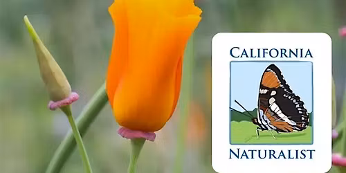 UC Environmental Stewards: California Naturalist Certification Course