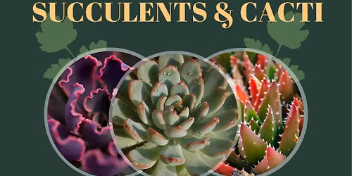 Succulents and Cacti