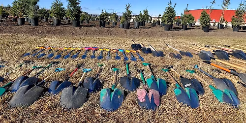 Volunteer Tree Planting - Trees 4 Life