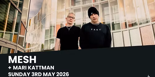 Mesh