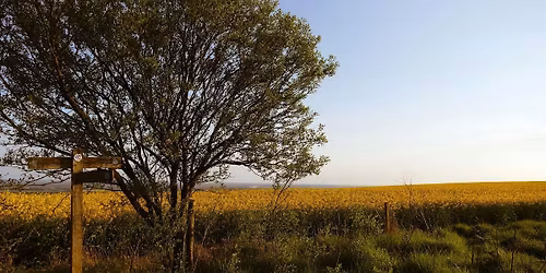 South Downs National Park Nature Hike (from Chicago)