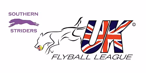 Southern Winter (Southern Striders)