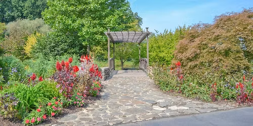 Parking CT Ice - Day 2