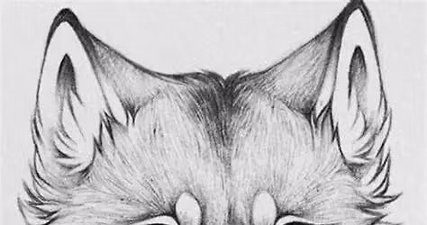 Animal Farm Art Camp July20-24, 8:30-5:00