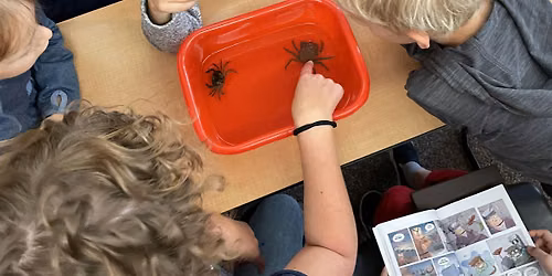 Summer Children's Program: UMaine Touch Tank