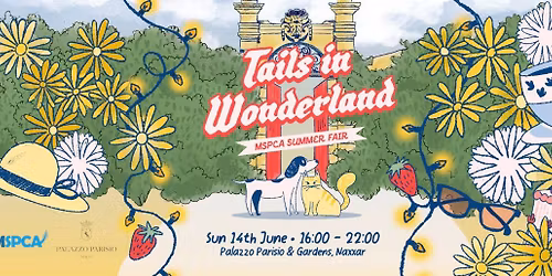 Tails in Wonderland \u2728