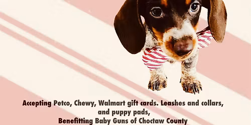 TENNESSEE JET CHRISTMAS SHOW