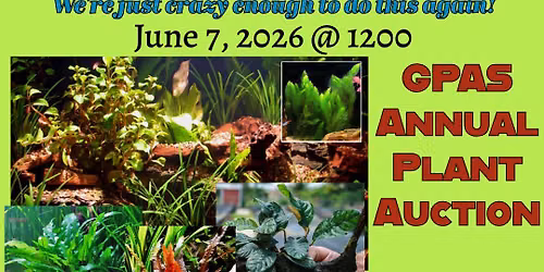 GPAS Annual Plant Auction