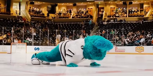 Fargo Force vs. Sioux Falls Stampede