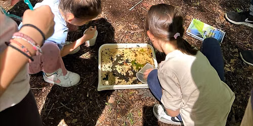 Girl Scouts Love State Parks: Pond Investigators