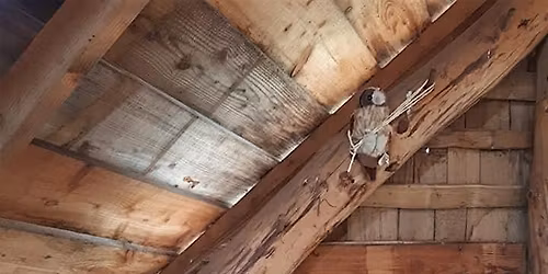 The Gruffalo\u2019s Party