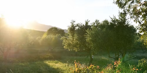 Plantation verger - chantier participatif